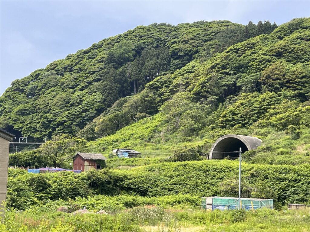集落の先、山の斜面に見える住吉山トンネルの小岩川側坑口