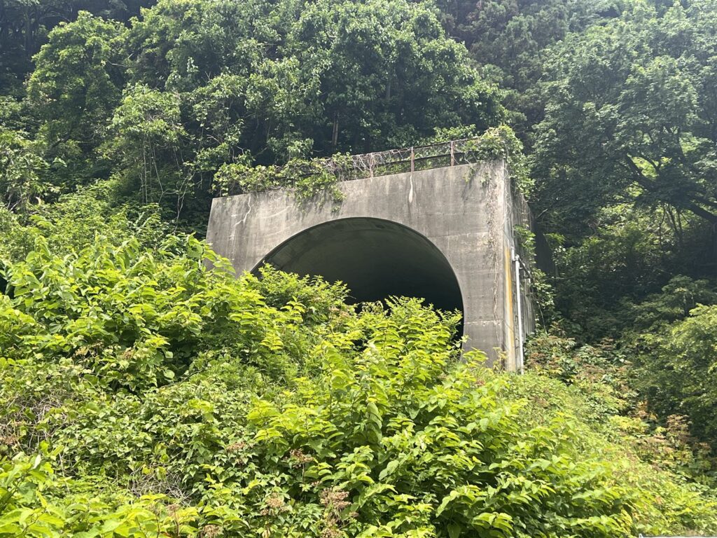 県道のわきに口を開ける宮名トンネルの坑口